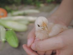 -兔爸私家小厨(新北万达店)