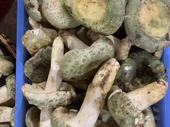 -野菌园·野生菌火锅首创第一家(关兴路总店)