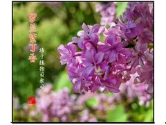 -国家植物园