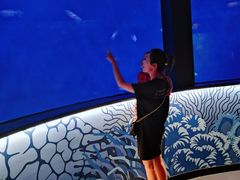 -沈阳海洋探索中心