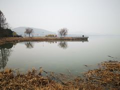 -长广溪湿地公园