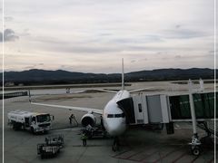 -威海大水泊国际机场