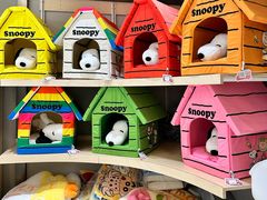 -帕帕拉兹宠物(亚洲旗舰店)