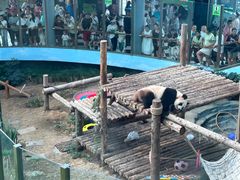 -大连森林动物园