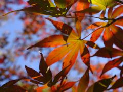 -云南师范大学(一二一西南联大校区)