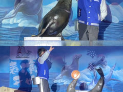 -顺德南宏海立方海洋公园