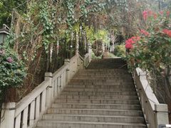 -乌山风景区