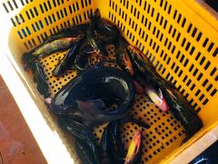 -大鹅岛灶台鱼·铁锅炖(水库路店)