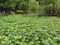 -沐仙湖湿地公园