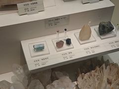 -天津自然博物馆
