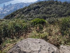 -梧桐山风景名胜区