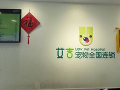 -艾吉宠物医院·疑难杂症转诊中心·猫友好(碧江路院)