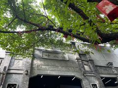 -重庆十八梯传统风貌区