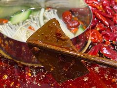 -谭鸭血老火锅(图书馆店)