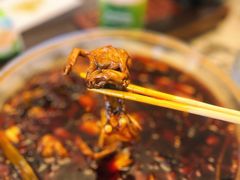 牛蛙-宽口美蛙鱼头(大唐西市店)
