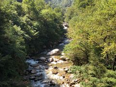 -青峰峡国家森林公园