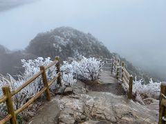 -金子山原生态旅游风景区