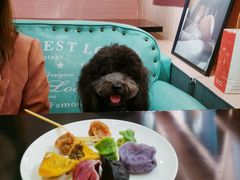 -百好乐宠物友好餐厅(朝外大街店)