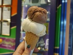 -Dooley's Premium Ice Cream