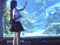 -江和美海洋公园