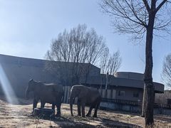 -鄂尔多斯野生动物园