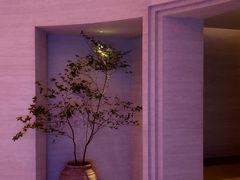 -舒小悦·舒养SPA·古法推拿(光环中心店)