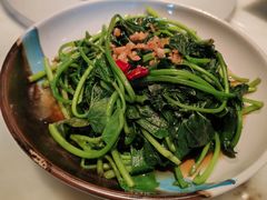 -佬肥猫(国华广场店)