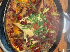 -老板恋上鱼(恒隆广场店)