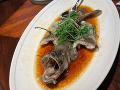 -香樟花园新粤料理(无锡万象城店)
