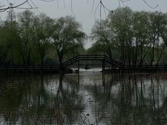 -长兴太湖图影湿地文化园