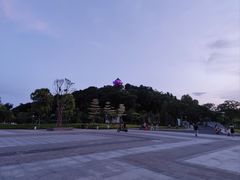 -王借岗森林公园