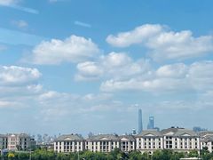 -龙阳路磁悬浮列车总站-停车场