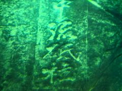 -白鹤梁水下博物馆