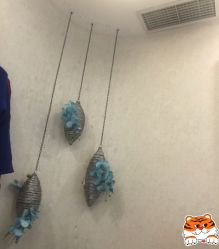 -健身堂科技美肌SPA