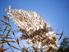 -中关村生命科学园