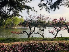 -钓鱼台国宾馆