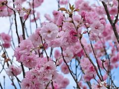 -观澜湖生态运动公社