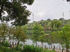 -重庆彩云湖湿地公园