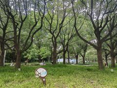 -中山公园
