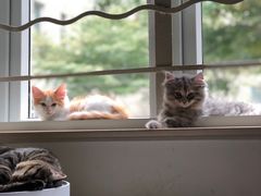 -大叔家福鼎小吃(十全街店)