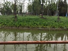 -上海浦江郊野公园-2号停车场