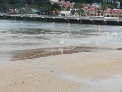 -香港银矿湾渡假酒店