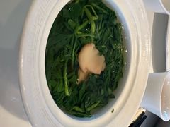 -上海总会SHANGHAICLUB(兴业太古汇店)