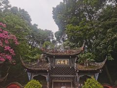 -青城山