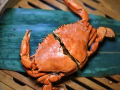 -成隆行·蟹王府(九江路店)