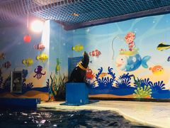 -太平洋海底世界