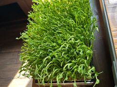 -湊湊火锅·茶憩(南京东路悦荟店)