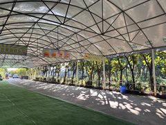 -天下先生态园农庄CS团建露营地(海鸥岛店)