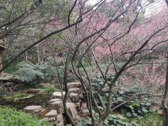 -西湖风景区-江洋畈生态公园