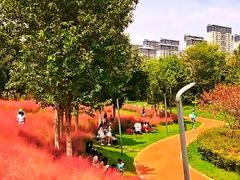 -安宁市宁湖森林公园